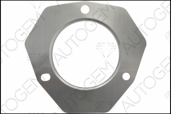 Gasket, exhaust pipe (CEG8109)