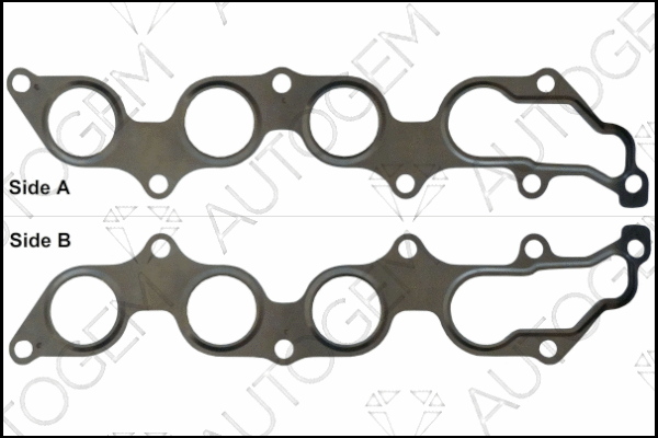 Gasket, exhaust manifold (MG1011)
