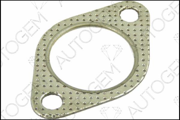 Gasket, exhaust pipe (CEG619)