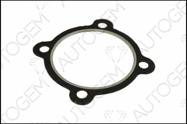 Gasket, exhaust pipe (CEG960)