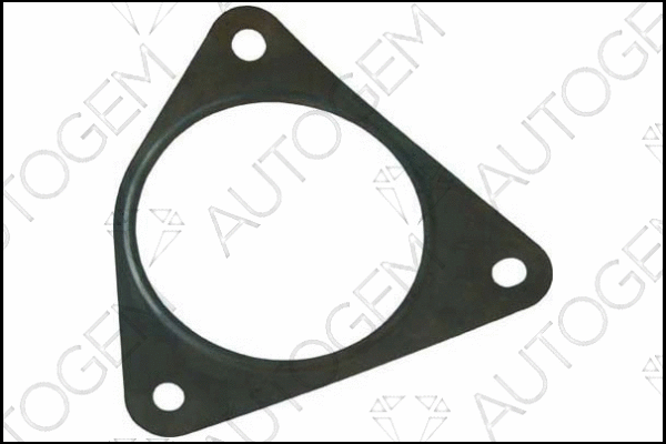 Gasket, exhaust pipe (CEG827)