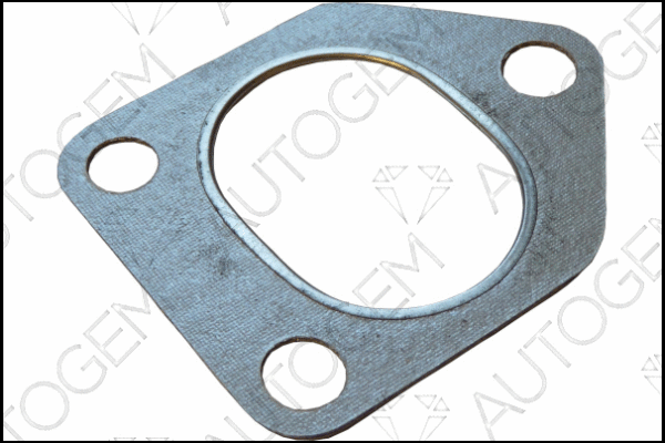 Gasket, charger (CEG4438)