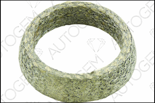 Seal Ring, exhaust pipe (CEG485)