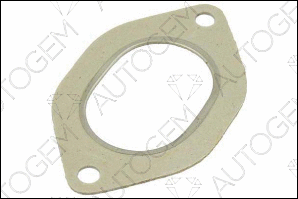 Gasket, exhaust pipe (CEG541)