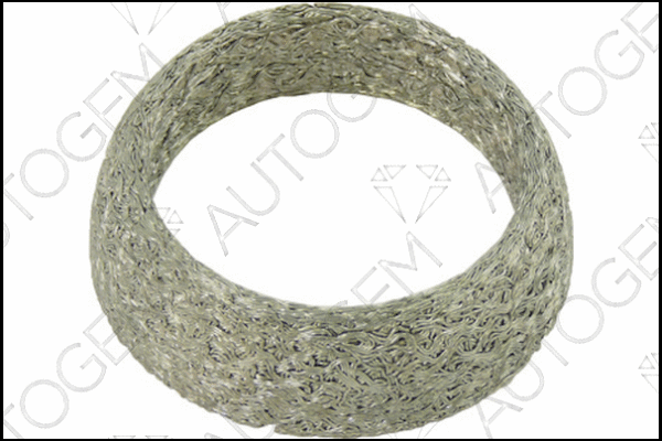 Seal Ring, exhaust pipe (CEG600)