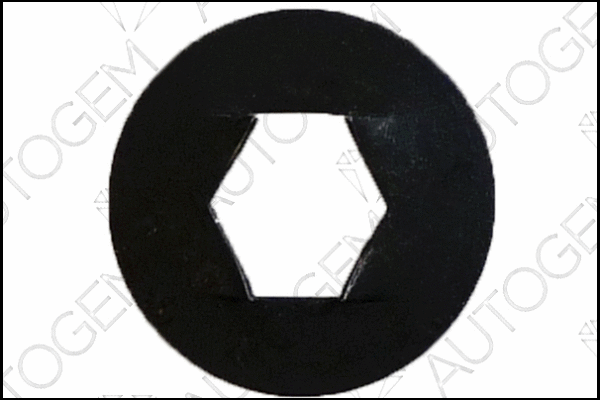 Securing Element (CSC1016)