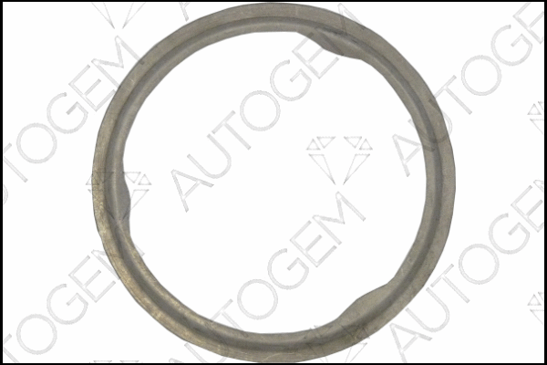 Gasket, exhaust pipe (CEG7552)