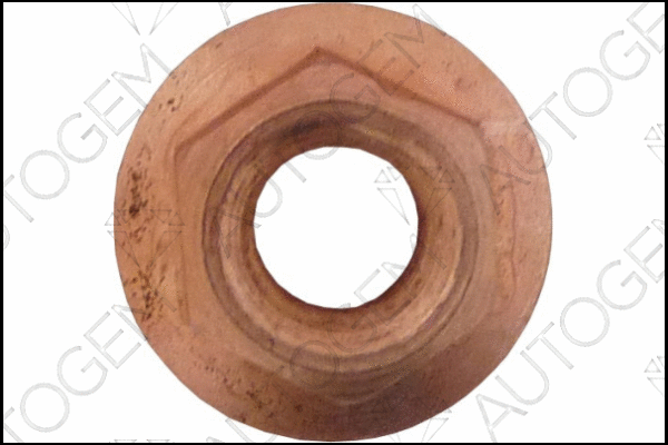 Nut, exhaust manifold (FN04CU)