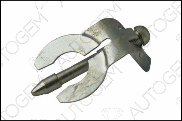 Mount, exhaust system (EMS55)