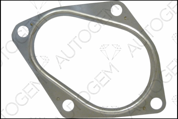 Gasket, exhaust pipe (CEG9524)
