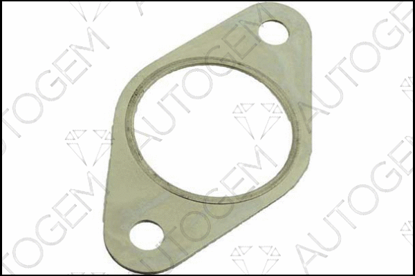 Gasket, exhaust pipe (EG63)