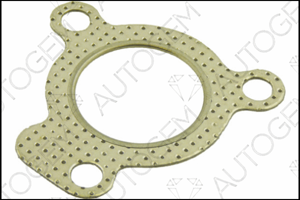 Gasket, exhaust pipe (CEG359)