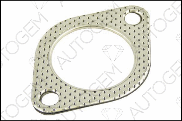 Gasket, exhaust pipe (CEG611)
