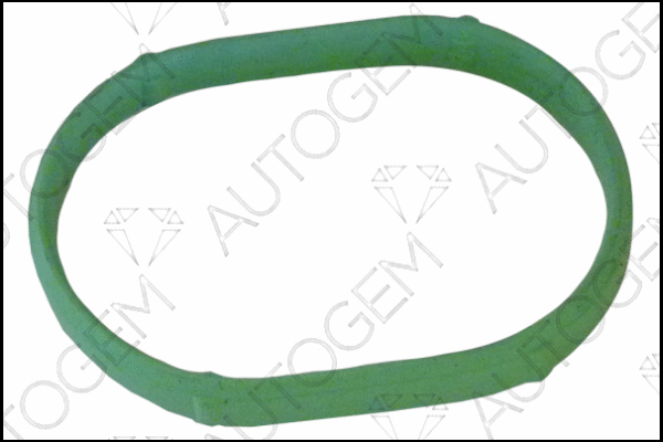 Gasket, intake manifold (CSM980)