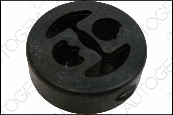 Mount, exhaust system (CSM681)