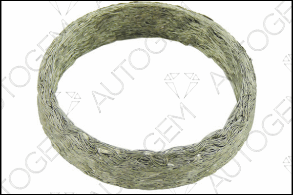 Seal Ring, exhaust pipe (CEG7573)