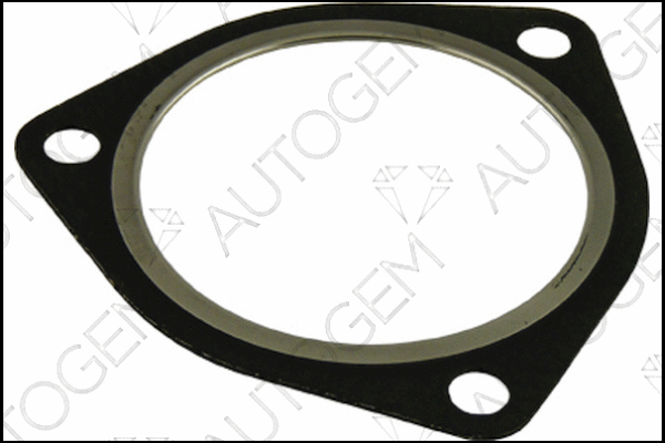 Gasket, exhaust pipe (CEG354)