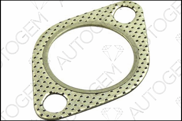 Gasket, exhaust pipe (CEG83)