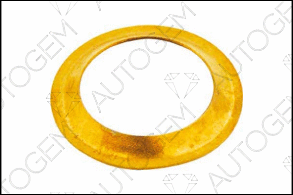 Seal Ring, exhaust pipe (CEG209)