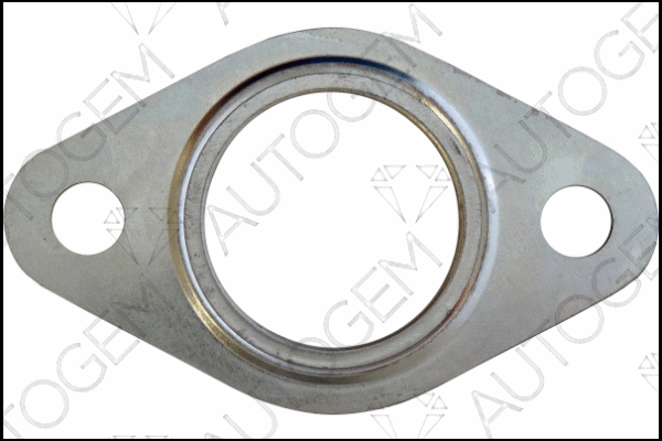 Gasket, exhaust pipe (CEG6362)