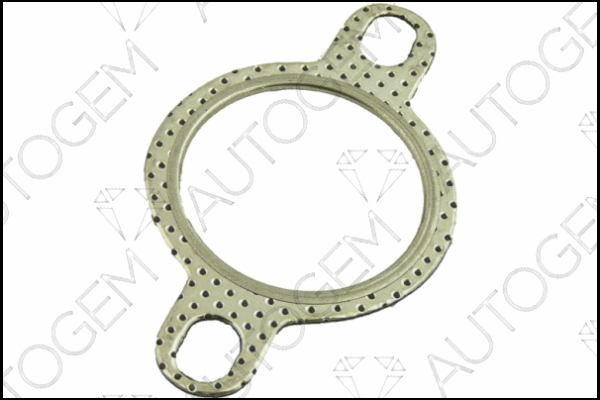 Gasket, exhaust pipe (EG86)
