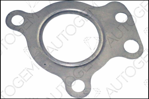 Gasket, exhaust pipe (CEG8110)