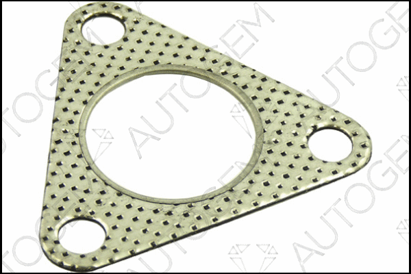 Gasket, exhaust pipe (CEG156)