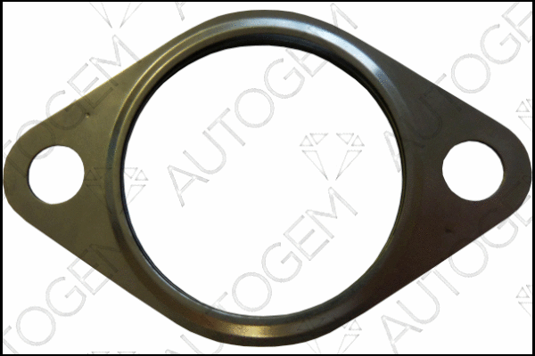 Gasket, exhaust pipe (CEG6127)