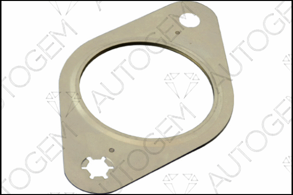 Gasket, exhaust pipe (CEG589)