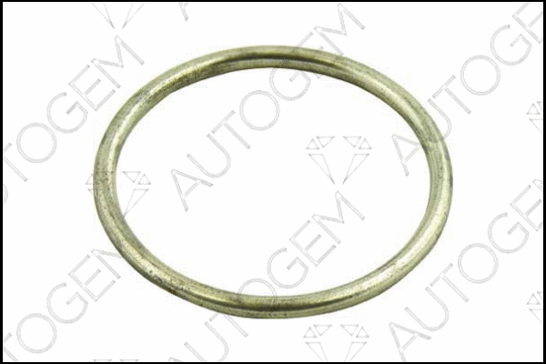 Seal Ring, exhaust pipe (CEG93)