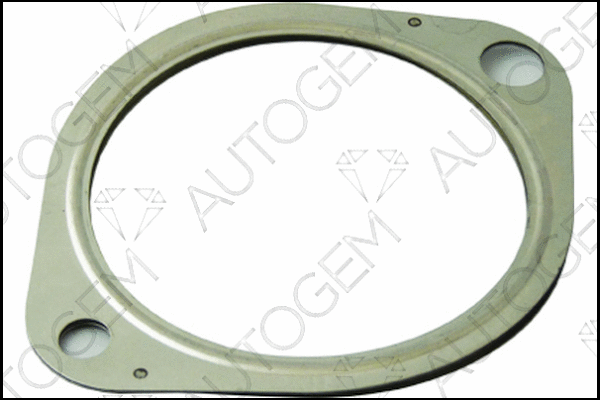 Gasket, exhaust pipe (CEG829)