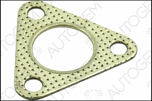 Gasket, exhaust pipe (CEG581)
