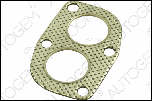 Gasket, exhaust pipe (CEG137)
