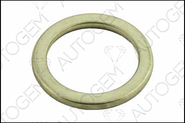 Seal Ring, exhaust pipe (CEG23)