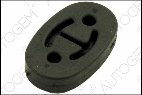 Mount, exhaust system (CSM116)