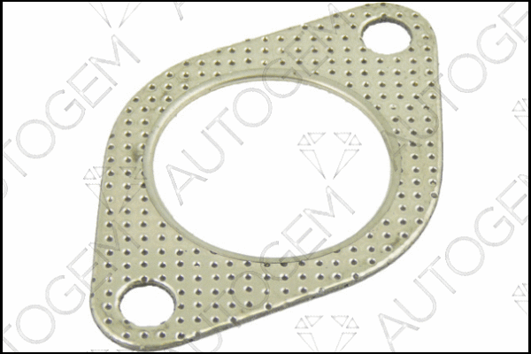 Gasket, exhaust pipe (CEG8392)