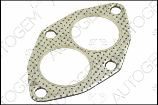 Gasket, exhaust pipe (CEG540)