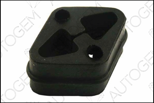 Mount, exhaust system (CSM451)