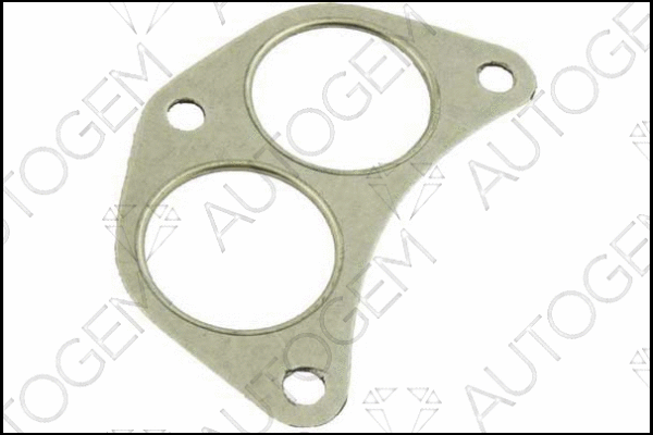 Gasket, exhaust pipe (EG62)
