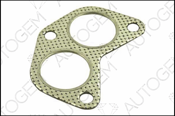 Gasket, exhaust pipe (CEG68)