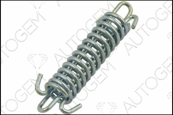 Spring, muffler (SC62)
