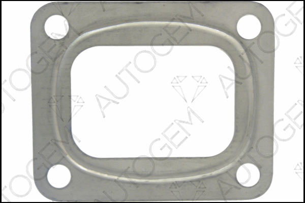 Gasket, charger (TBG1024)