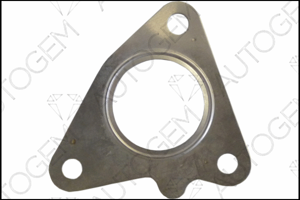 Gasket, exhaust pipe (CEG6811)