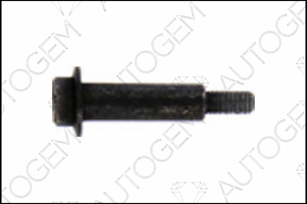 Bolt, exhaust system (EMS39)