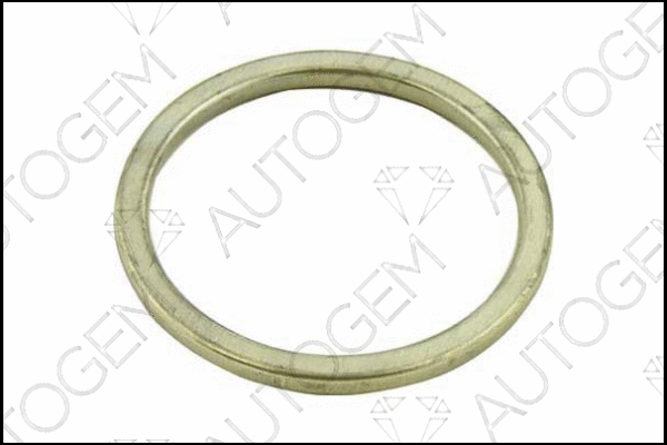 Seal Ring, exhaust pipe (CEG212)