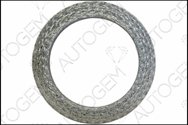 Seal Ring, exhaust pipe (CEG523)