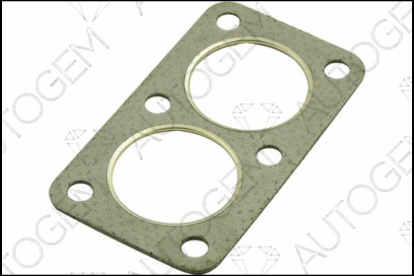 Gasket, exhaust pipe (CEG57)