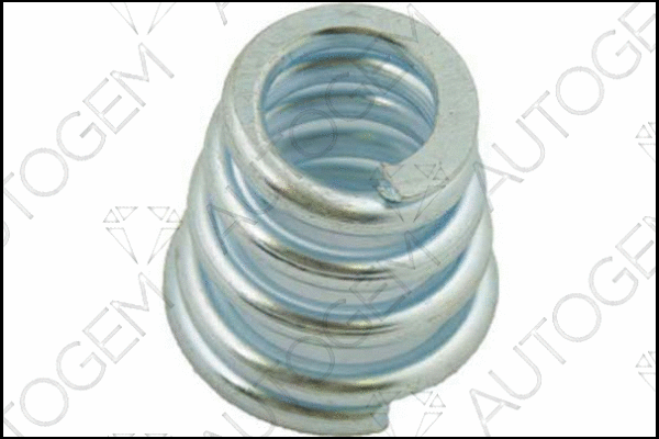 Spring, muffler (CSC100)
