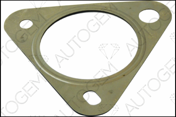 Gasket, exhaust pipe (CEG836)