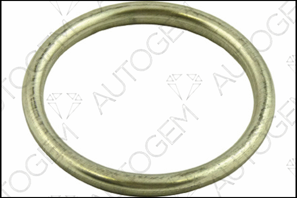 Seal Ring, exhaust pipe (CEG59)